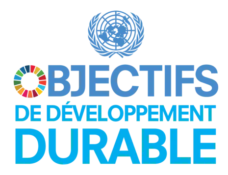 ODD Objectidfs de développement durable Logo